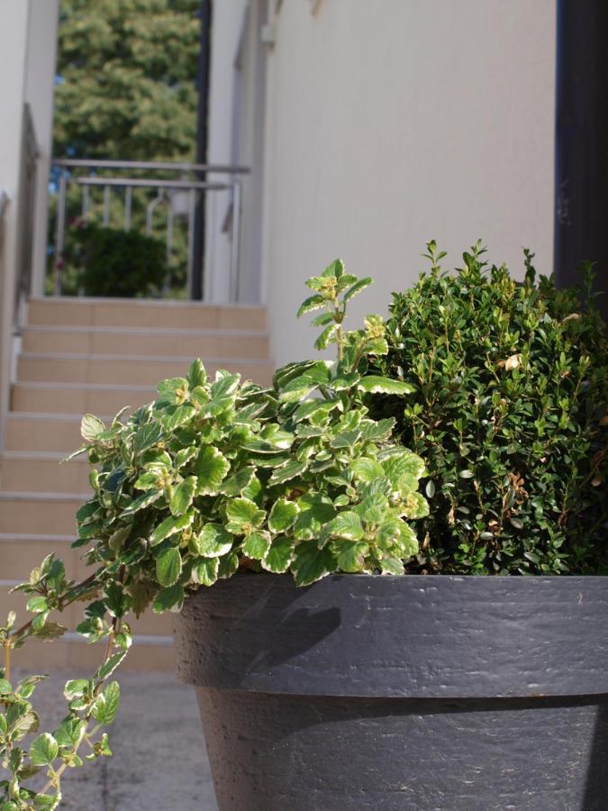 Apartments Mirasol Umag Dış mekan fotoğraf