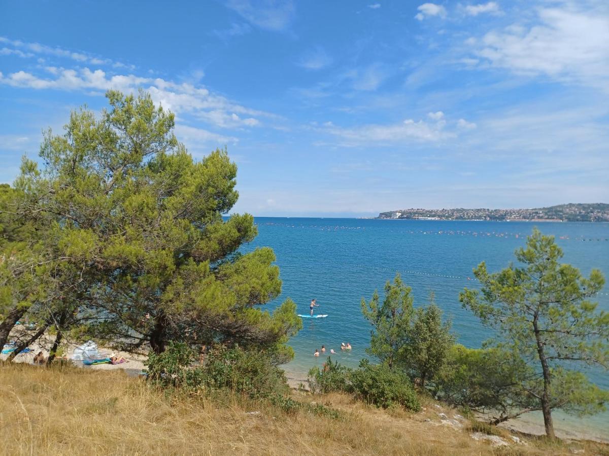 Apartments Mirasol Umag Dış mekan fotoğraf
